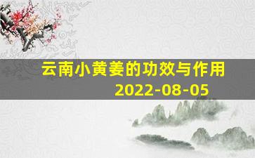 云南小黄姜的功效与作用 2022-08-05